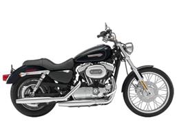 2009 Harley-Davidson XL1200C - Sportster 1200 Custom (CC-965823) for sale in Big Bend, Wisconsin