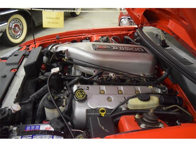 2000 Ford Mustang Cobra (CC-965871) for sale in Fredericksburg, Virginia