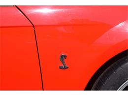 2000 Ford Mustang Cobra (CC-965871) for sale in Fredericksburg, Virginia