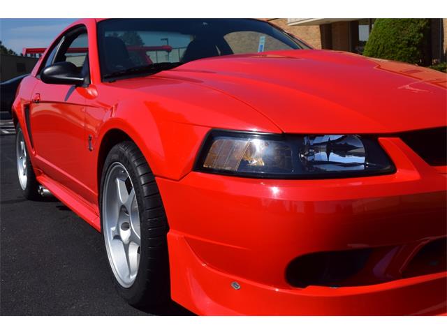 2000 Ford Mustang Cobra (CC-965871) for sale in Fredericksburg, Virginia