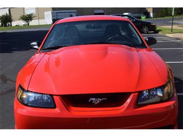 2000 Ford Mustang Cobra (CC-965871) for sale in Fredericksburg, Virginia