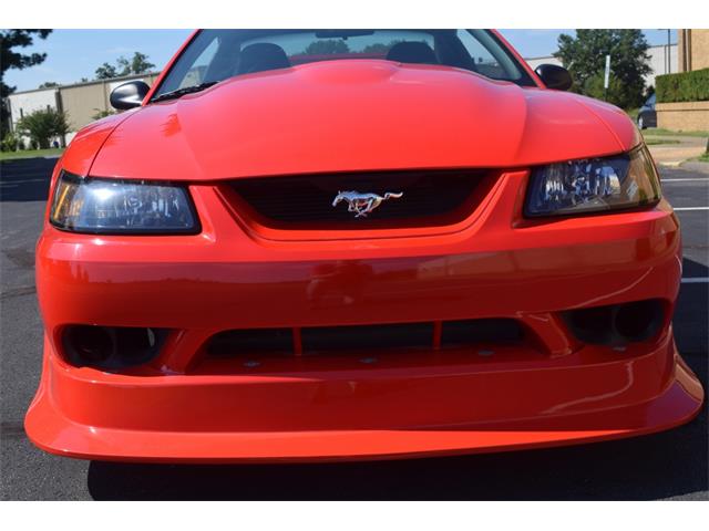 2000 Ford Mustang Cobra (CC-965871) for sale in Fredericksburg, Virginia