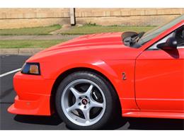 2000 Ford Mustang Cobra (CC-965871) for sale in Fredericksburg, Virginia