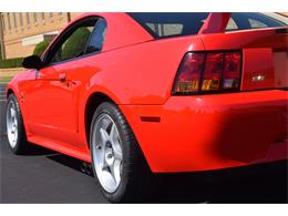 2000 Ford Mustang Cobra (CC-965871) for sale in Fredericksburg, Virginia