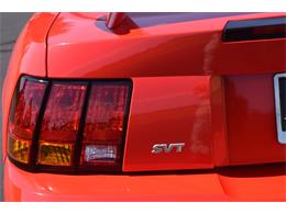 2000 Ford Mustang Cobra (CC-965871) for sale in Fredericksburg, Virginia
