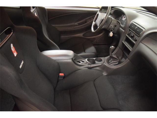 2000 Ford Mustang Cobra (CC-965871) for sale in Fredericksburg, Virginia