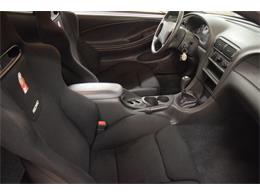 2000 Ford Mustang Cobra (CC-965871) for sale in Fredericksburg, Virginia