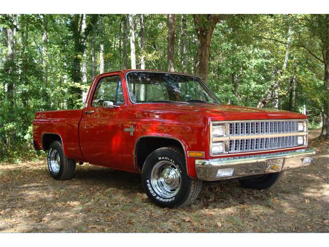 1981 Chevrolet C/K 10 (CC-966432) for sale in West Palm Beach, Florida