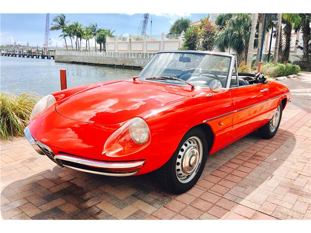 1967 Alfa Romeo Spider (CC-966448) for sale in West Palm Beach, Florida