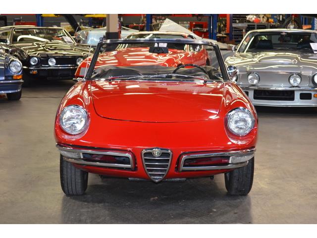 1967 Alfa Romeo Duetto 1600 Spider (CC-967598) for sale in Huntington Station, New York