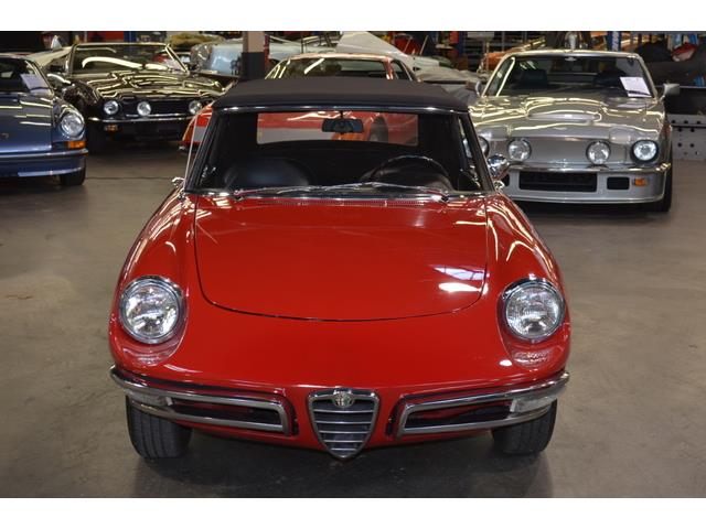 1967 Alfa Romeo Duetto 1600 Spider (CC-967598) for sale in Huntington Station, New York