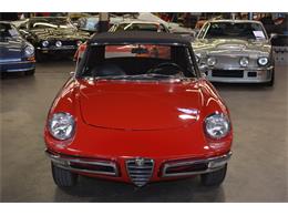 1967 Alfa Romeo Duetto 1600 Spider (CC-967598) for sale in Huntington Station, New York