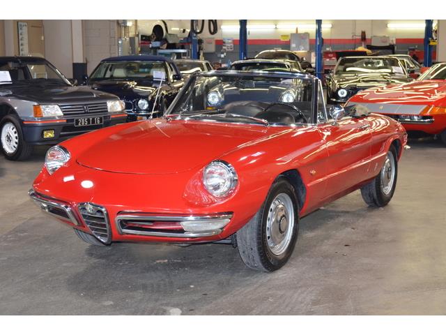 1967 Alfa Romeo Duetto 1600 Spider (CC-967598) for sale in Huntington Station, New York