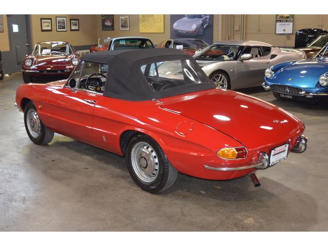1967 Alfa Romeo Duetto 1600 Spider (CC-967598) for sale in Huntington Station, New York