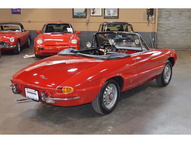 1967 Alfa Romeo Duetto 1600 Spider (CC-967598) for sale in Huntington Station, New York