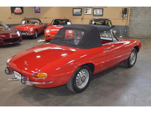 1967 Alfa Romeo Duetto 1600 Spider (CC-967598) for sale in Huntington Station, New York
