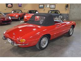 1967 Alfa Romeo Duetto 1600 Spider (CC-967598) for sale in Huntington Station, New York