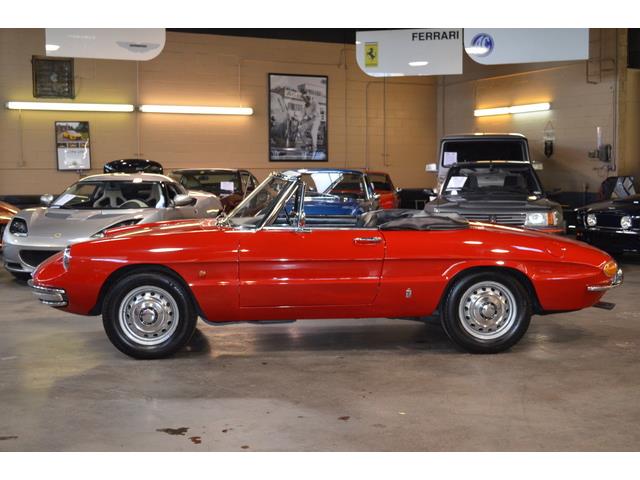 1967 Alfa Romeo Duetto 1600 Spider (CC-967598) for sale in Huntington Station, New York