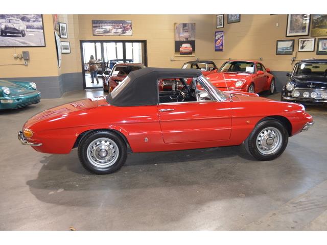 1967 Alfa Romeo Duetto 1600 Spider (CC-967598) for sale in Huntington Station, New York