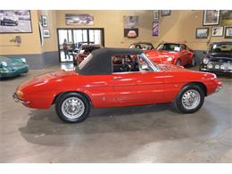 1967 Alfa Romeo Duetto 1600 Spider (CC-967598) for sale in Huntington Station, New York