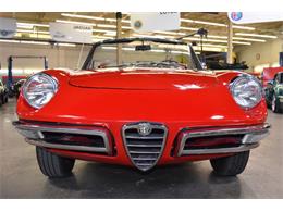 1967 Alfa Romeo Duetto 1600 Spider (CC-967598) for sale in Huntington Station, New York