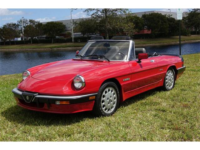 1986 Alfa Romeo Spider (CC-967817) for sale in West Palm Beach, Florida