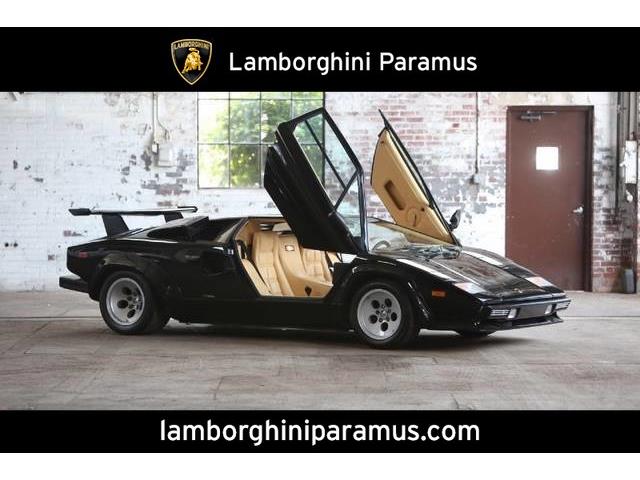 1987 Lamborghini Countach (CC-968136) for sale in Paramus, New Jersey
