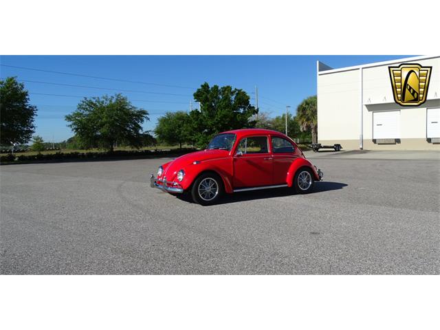 1967 Volkswagen Beetle (CC-968225) for sale in Ruskin, Florida