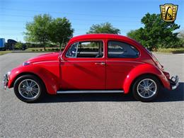 1967 Volkswagen Beetle (CC-968225) for sale in Ruskin, Florida