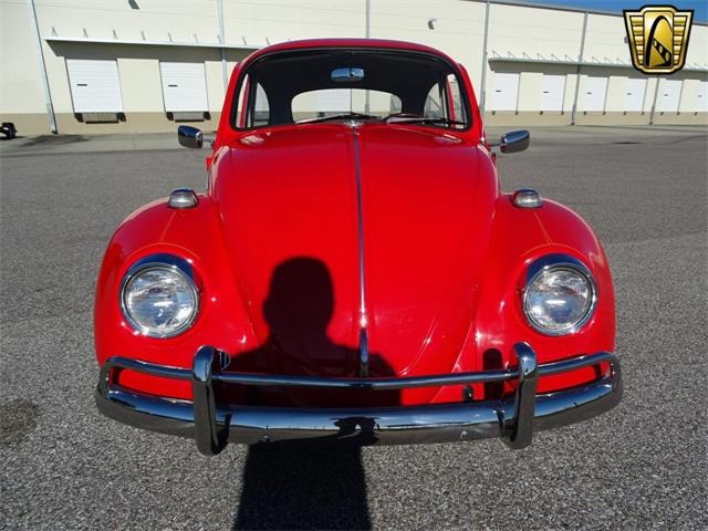 1967 Volkswagen Beetle (CC-968225) for sale in Ruskin, Florida