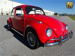 1967 Volkswagen Beetle (CC-968225) for sale in Ruskin, Florida