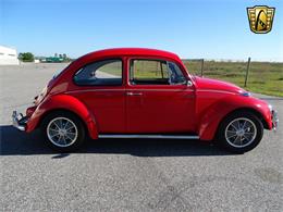 1967 Volkswagen Beetle (CC-968225) for sale in Ruskin, Florida