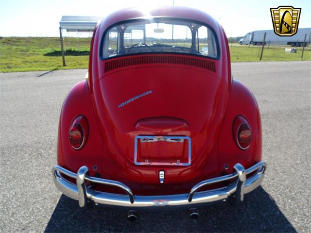 1967 Volkswagen Beetle (CC-968225) for sale in Ruskin, Florida