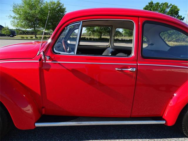 1967 Volkswagen Beetle (CC-968225) for sale in Ruskin, Florida