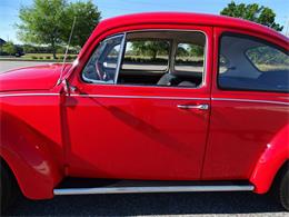 1967 Volkswagen Beetle (CC-968225) for sale in Ruskin, Florida