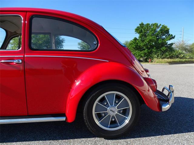 1967 Volkswagen Beetle (CC-968225) for sale in Ruskin, Florida