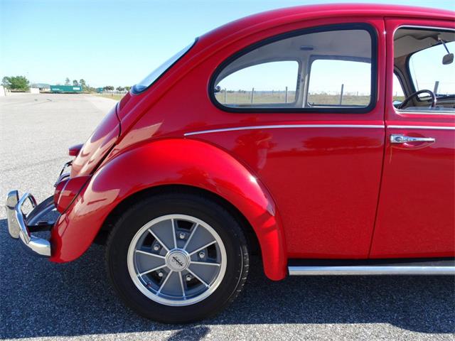 1967 Volkswagen Beetle (CC-968225) for sale in Ruskin, Florida