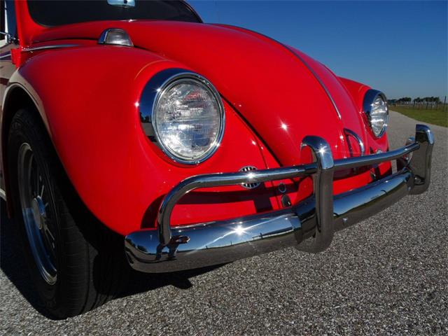 1967 Volkswagen Beetle (CC-968225) for sale in Ruskin, Florida