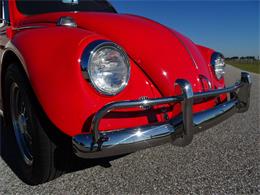 1967 Volkswagen Beetle (CC-968225) for sale in Ruskin, Florida