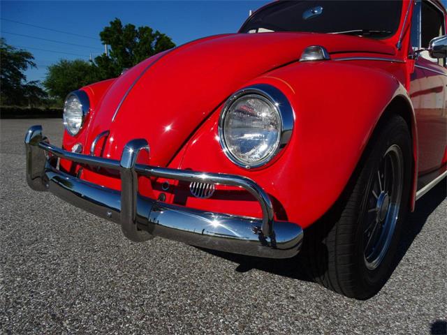 1967 Volkswagen Beetle (CC-968225) for sale in Ruskin, Florida