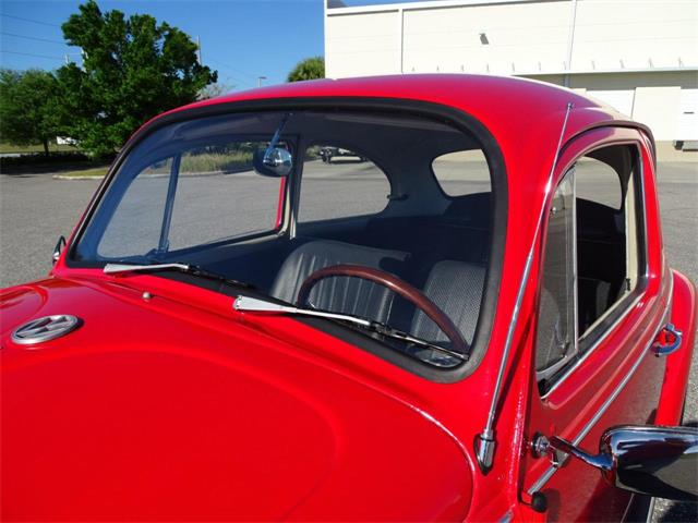 1967 Volkswagen Beetle (CC-968225) for sale in Ruskin, Florida