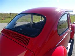 1967 Volkswagen Beetle (CC-968225) for sale in Ruskin, Florida