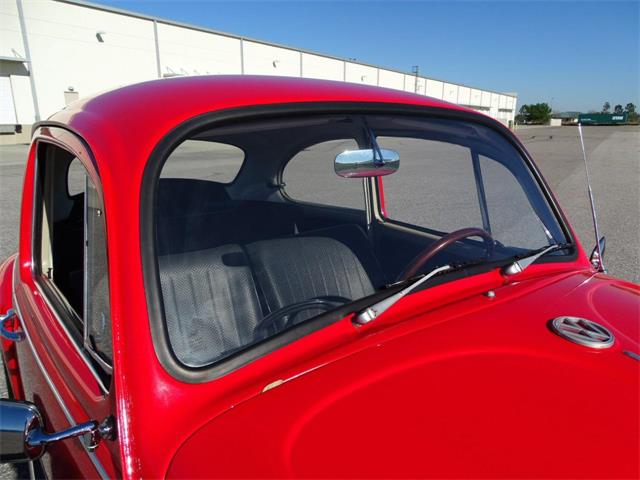 1967 Volkswagen Beetle (CC-968225) for sale in Ruskin, Florida