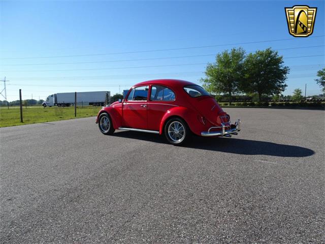 1967 Volkswagen Beetle (CC-968225) for sale in Ruskin, Florida