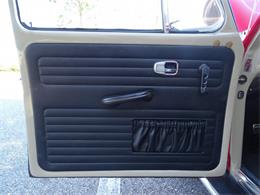 1967 Volkswagen Beetle (CC-968225) for sale in Ruskin, Florida
