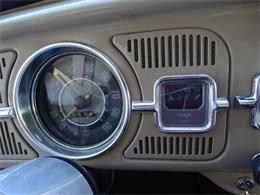 1967 Volkswagen Beetle (CC-968225) for sale in Ruskin, Florida