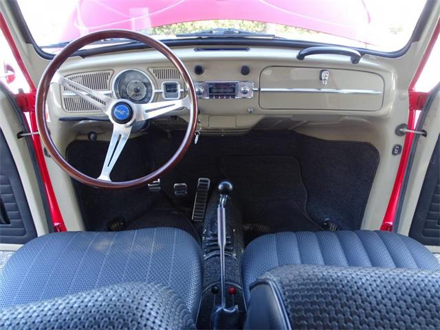 1967 Volkswagen Beetle (CC-968225) for sale in Ruskin, Florida