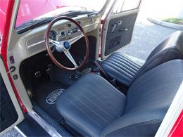 1967 Volkswagen Beetle (CC-968225) for sale in Ruskin, Florida