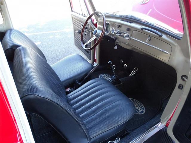 1967 Volkswagen Beetle (CC-968225) for sale in Ruskin, Florida