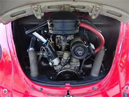 1967 Volkswagen Beetle (CC-968225) for sale in Ruskin, Florida